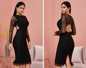 Sheer Lacey Long Sleeve Open Back Bodycon Dress